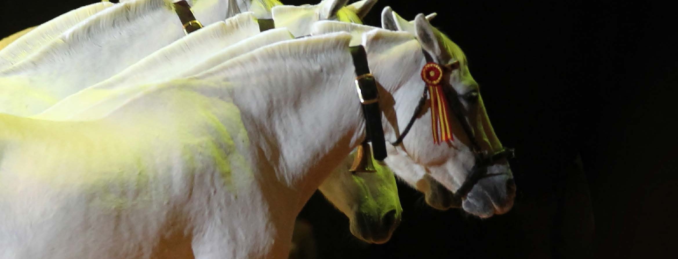 Exposición: "Cría caballar de las Fuerzas Armadas. 150 años de servicio"